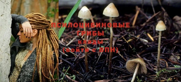 стаф Тихвин