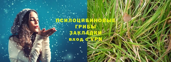 марки lsd Богородицк