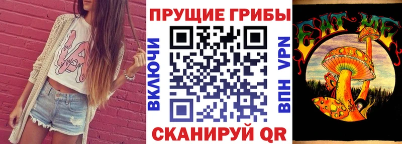 как найти наркотики  Дудинка  ОМГ ОМГ маркетплейс  Псилоцибиновые грибы Psilocybine cubensis 